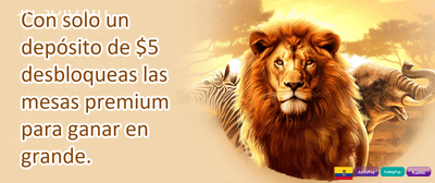 Bono de Referido Amigo promotion